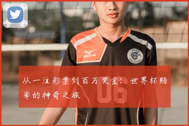 从一注彩票到百万奖金：世界杯赔率的神奇之旅