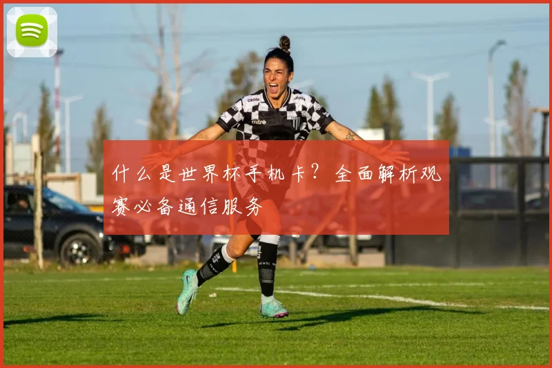 什么是世界杯手机卡？全面解析观赛必备通信服务
