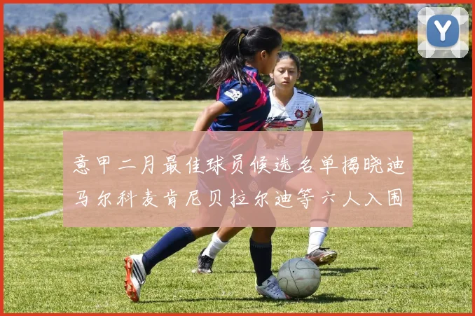意甲二月最佳球员候选名单揭晓迪马尔科麦肯尼贝拉尔迪等六人入围