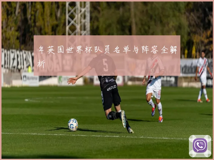 年英国世界杯队员名单与阵容全解析