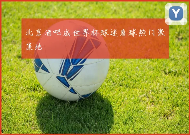 北京酒吧成世界杯球迷看球热门聚集地