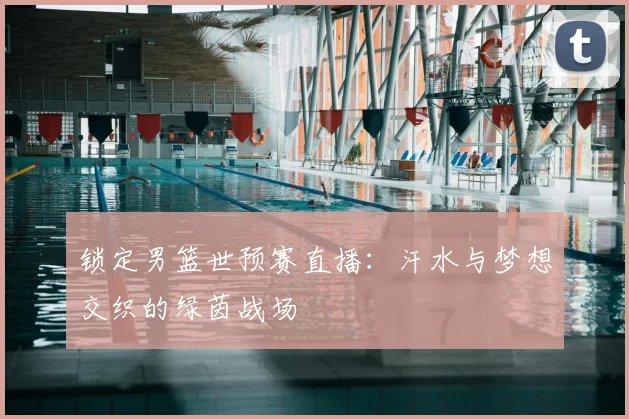 锁定男篮世预赛直播：汗水与梦想交织的绿茵战场