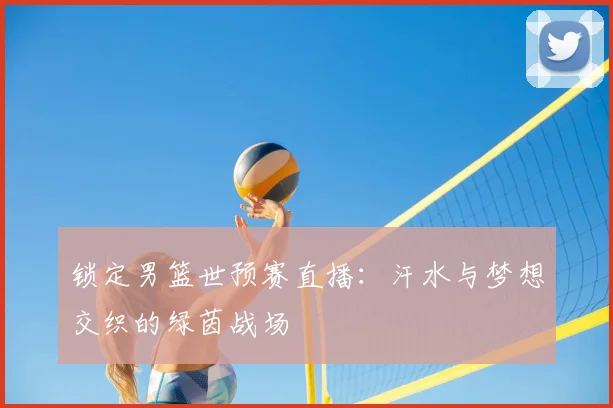 锁定男篮世预赛直播：汗水与梦想交织的绿茵战场