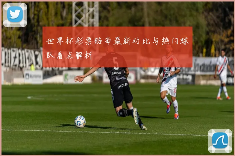 世界杯彩票赔率最新对比与热门球队看点解析