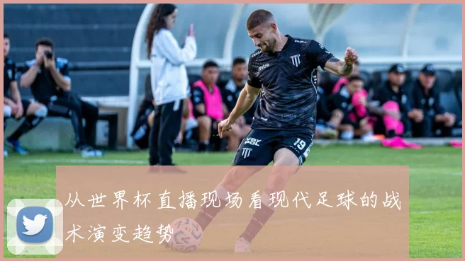 从世界杯直播现场看现代足球的战术演变趋势