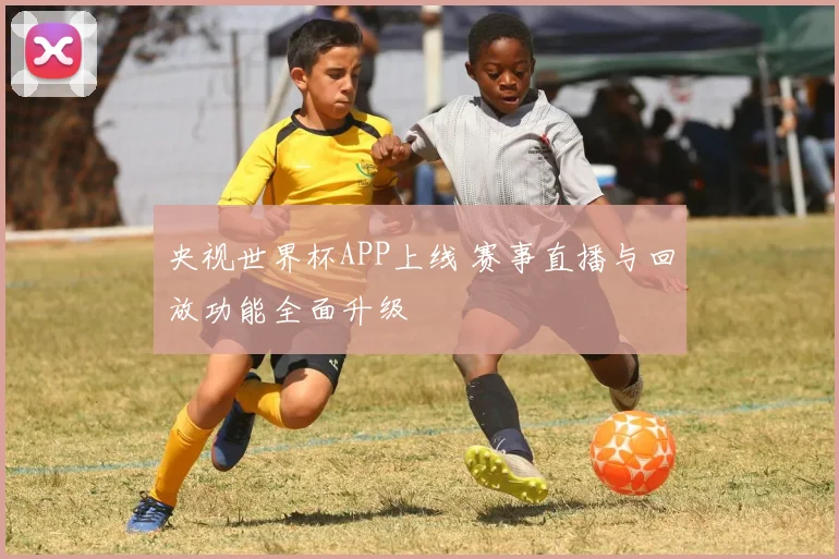 央视世界杯APP上线 赛事直播与回放功能全面升级