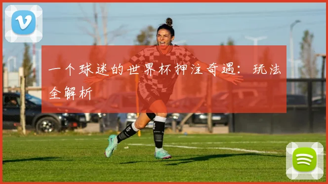 一个球迷的世界杯押注奇遇：玩法全解析