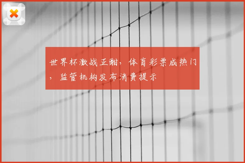 世界杯激战正酣，体育彩票成热门，监管机构发布消费提示