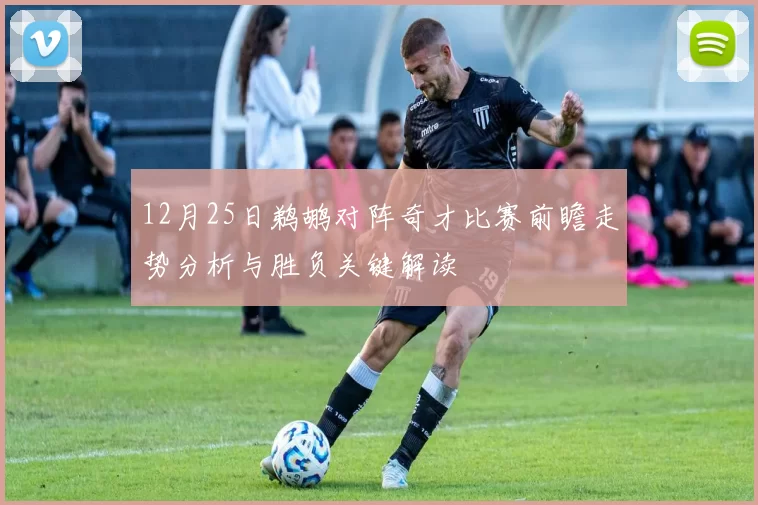 12月25日鹈鹕对阵奇才比赛前瞻走势分析与胜负关键解读