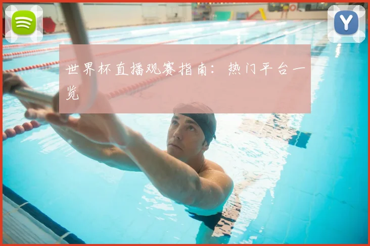 世界杯直播观赛指南：热门平台一览